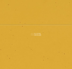 Forbo Sphera Energetic 50210 mandarin фото 2 | FLOORDEALER